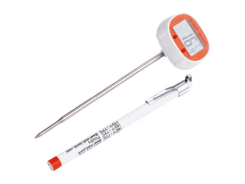 DT0163 Thermometer