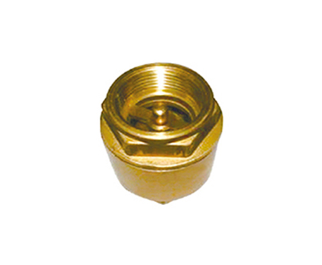 S-9371 Brass Spring Check Valve W/  Brass Cartridge W/o Filter
