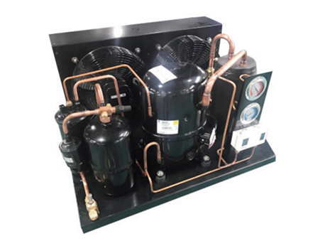 LT-TAG4573Z Tecumseh Compressor Unit